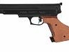 Pistola Compact Gamo 2
