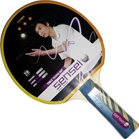 paleta-ping-pong-tenis-mesa-sensei-3-estrellas-